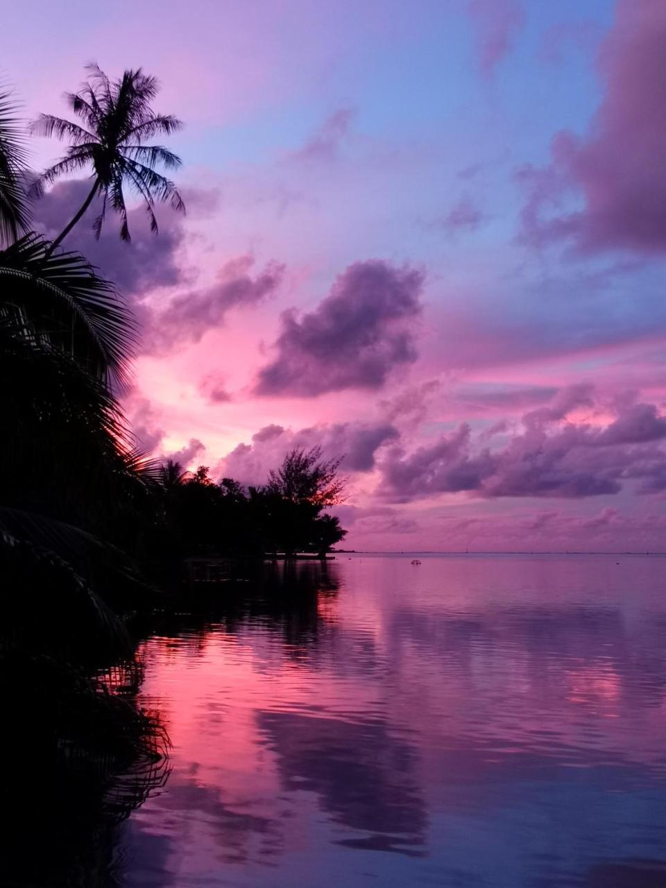 Lagoon Dream Moorea Extérieur photo