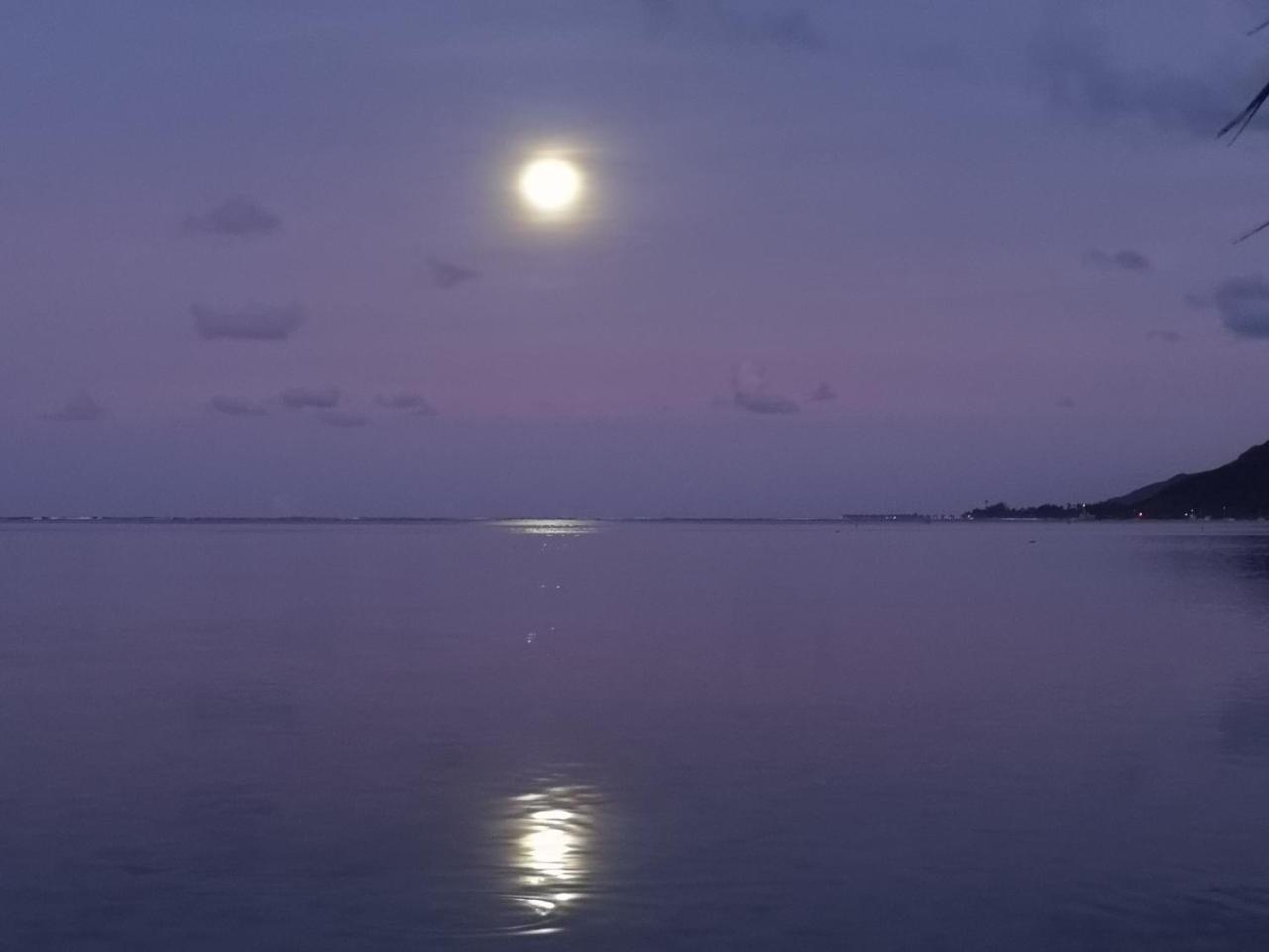 Lagoon Dream Moorea Extérieur photo